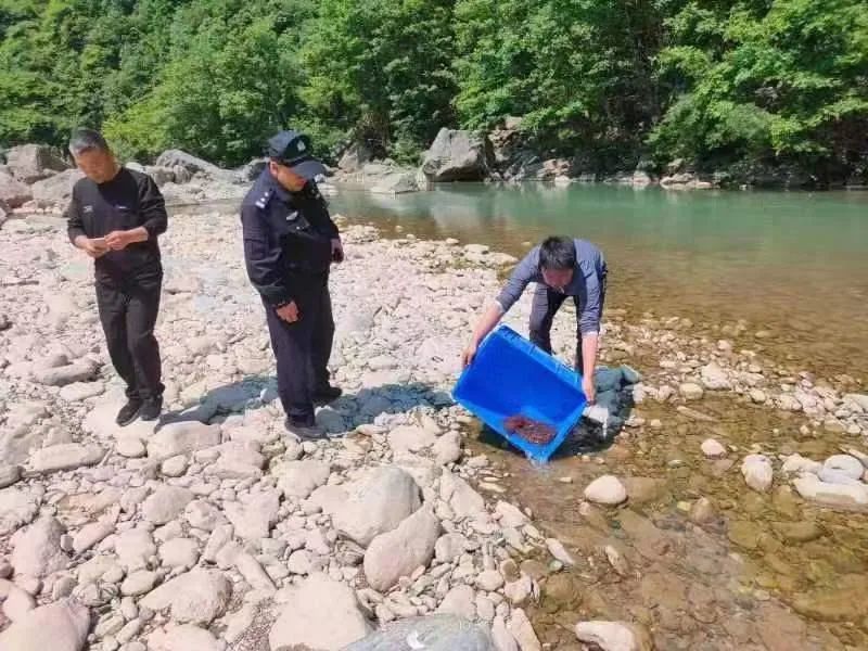 隴南民警護送“娃娃魚”回家(圖3)