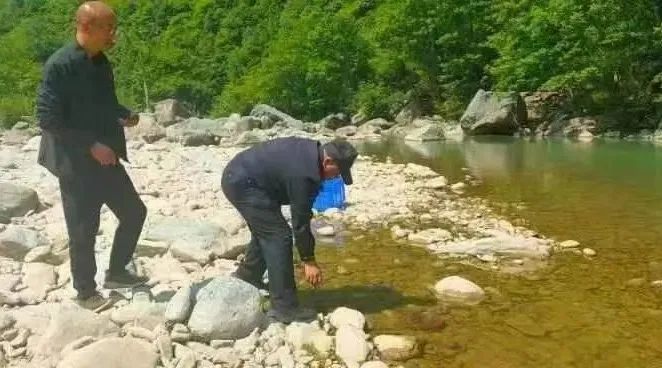 隴南民警護送“娃娃魚”回家(圖4)
