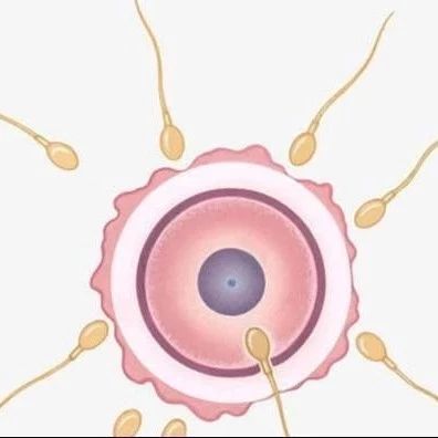 受精卵着床需要多长时间为什么会着床失败兰州天伦医院为你讲解