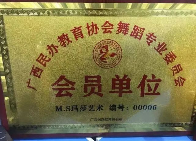 中国社会艺术协会街舞委员会星级会员单位4.