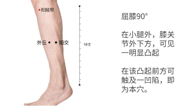 2肝胆病症除了头晕和易怒的情况之外,阳陵泉穴 太冲穴,对于多种肝胆