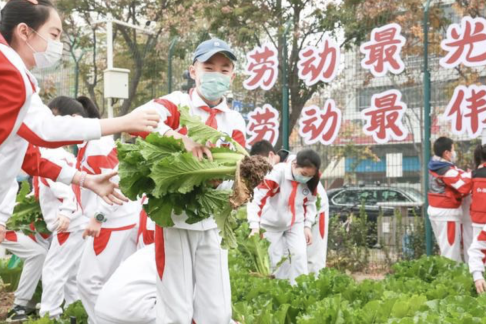 連城小說網手機版下載_獵人小說網免費閱讀_全本小說免費無彈窗在線閱讀