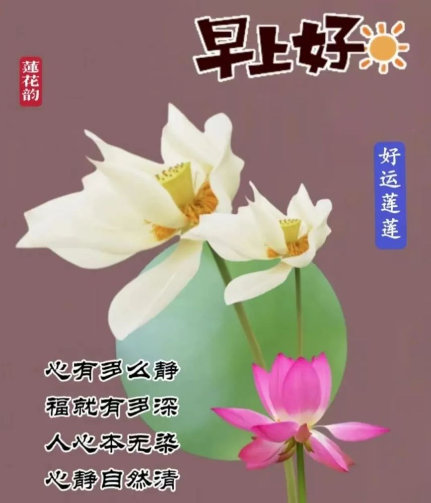 2022年5月9日星期一早上好问候祝福动态表情图片大全周一最新早安问候