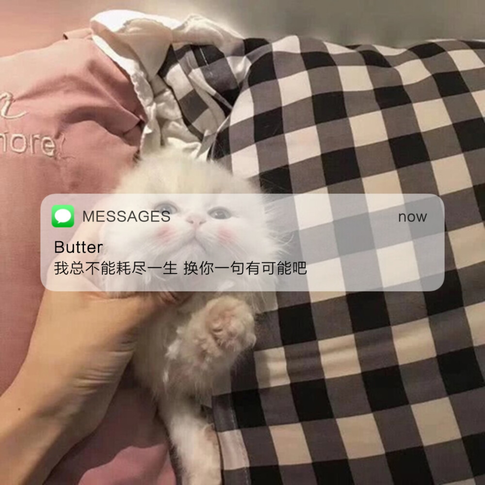 背景图想从收到一束花开始恋爱