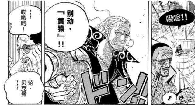 恶魔果实到底是什么