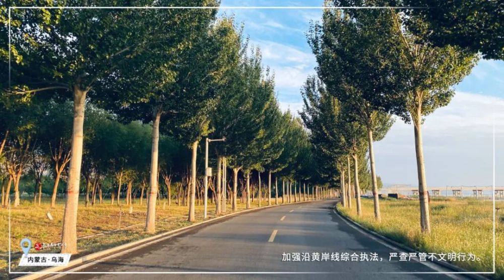 便利丨烏海“車駕管”服務優化升級!(圖3)