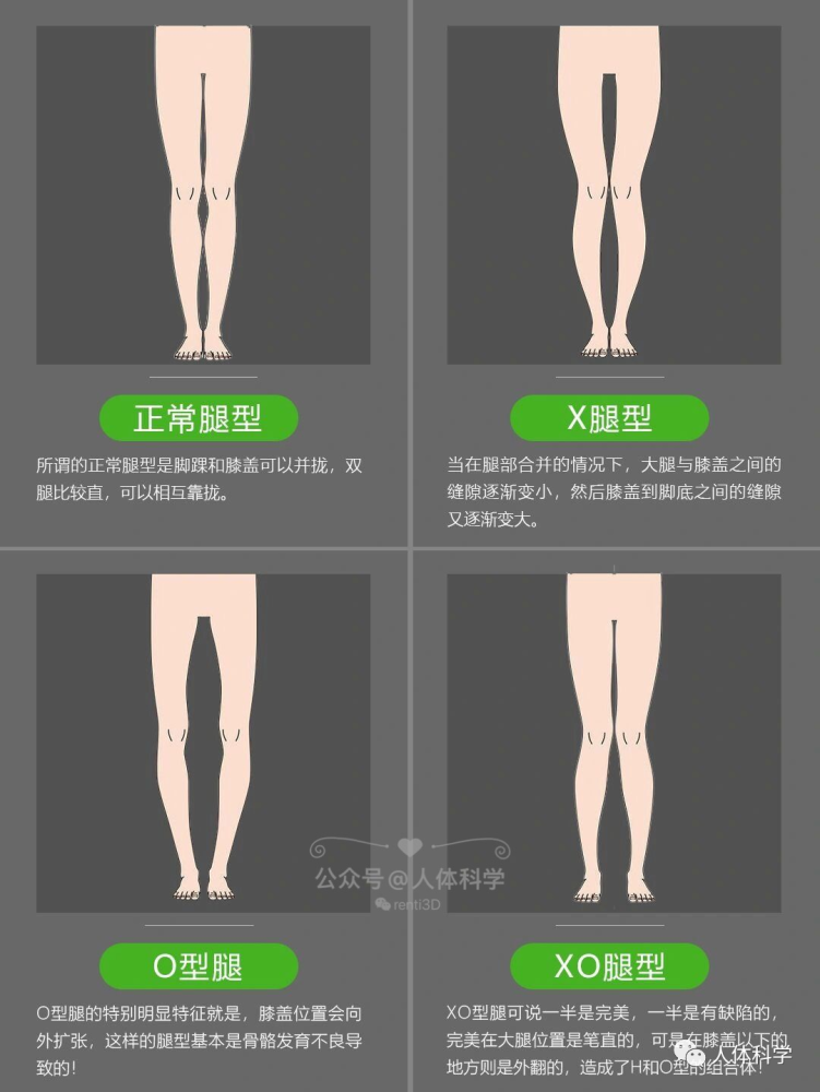 腿型改善20秒自测你属于哪种腿型
