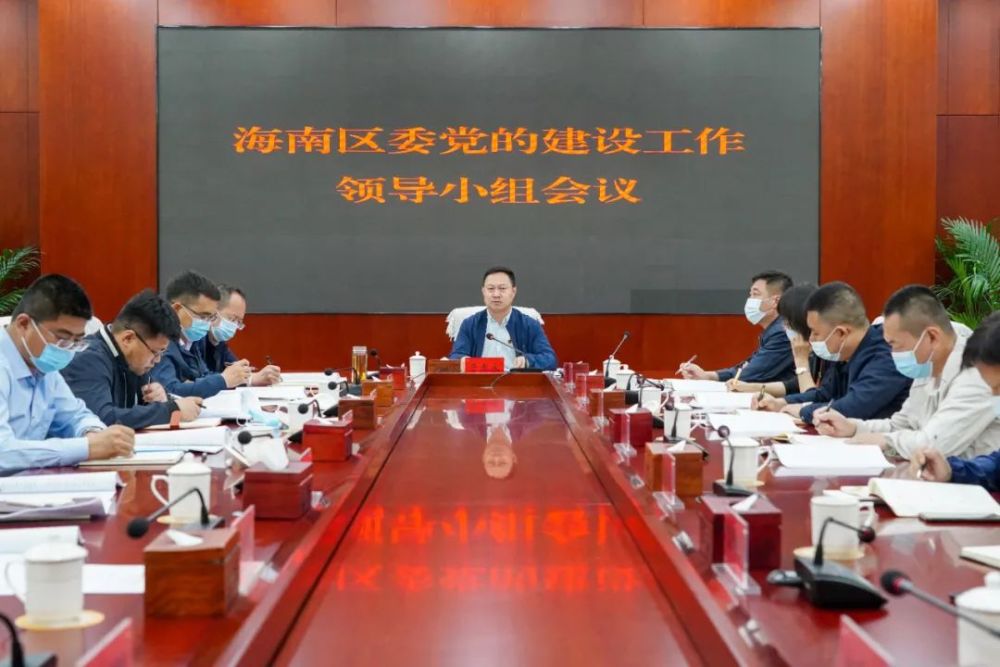 海南区召开区委党的建设工作领导小组会议