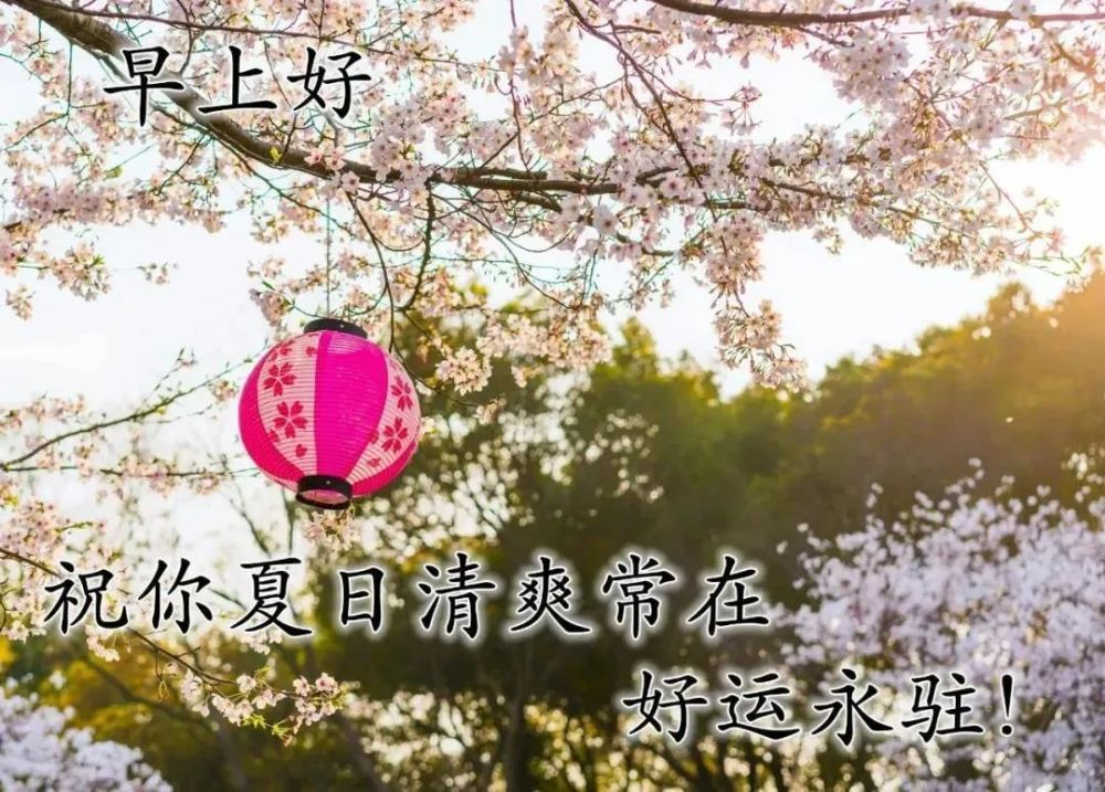 8张最新漂亮夏日风景早上好图片带字带祝福语暖心的早安问候祝福风景