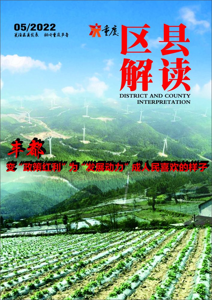 “區縣解讀”豐都變“政策紅利”為“發展動力”成人民喜歡的樣子(圖1)