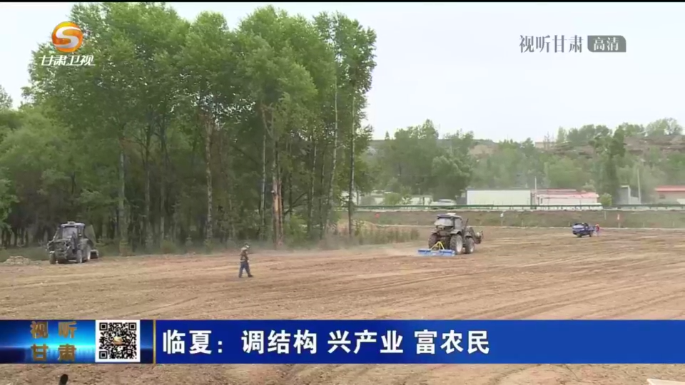 臨夏調結構興產業富農民(圖1)