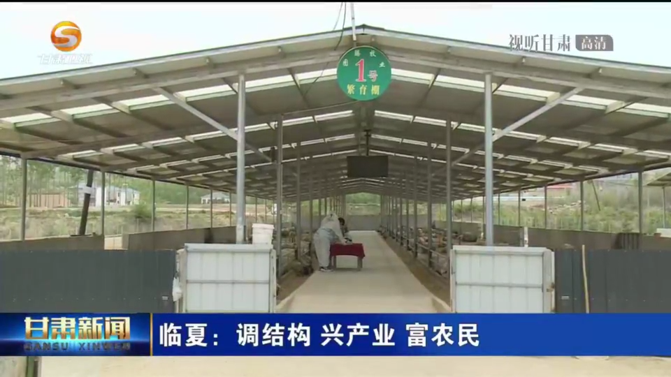 臨夏調結構興產業富農民(圖2)