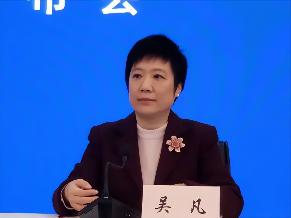 吴凡从重点大学毕业科员做起曾任副市长48岁获名校博士学位