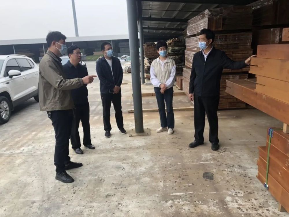 平桥区政协主席严家安到查山乡调研指导企业发展等工作