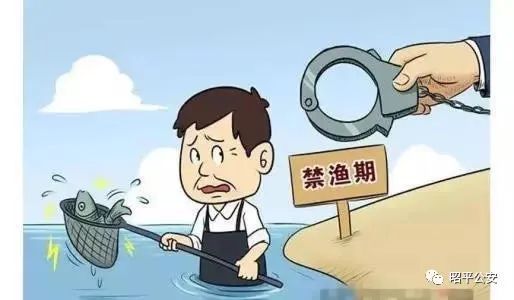 抓獲15人!賀州警方嚴打整治非法捕撈有力維護生態平衡(圖1)