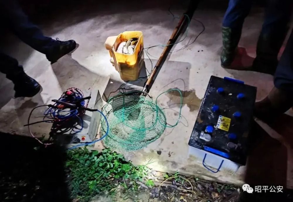 抓獲15人!賀州警方嚴打整治非法捕撈有力維護生態平衡(圖6)