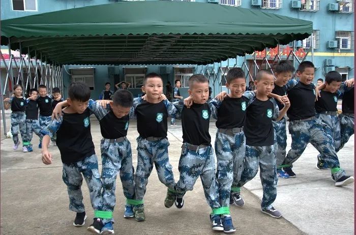 蜕变广东少年的光速成长记从军营开始护蕾行动见证小小指挥官的蜕变