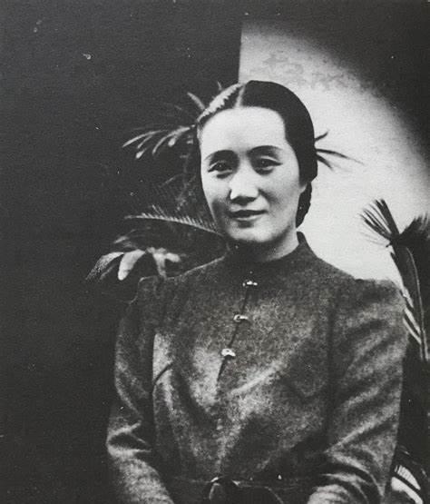 夏之时和妻子董竹君离婚后结局如何?1939年另娶他人,最终被枪决