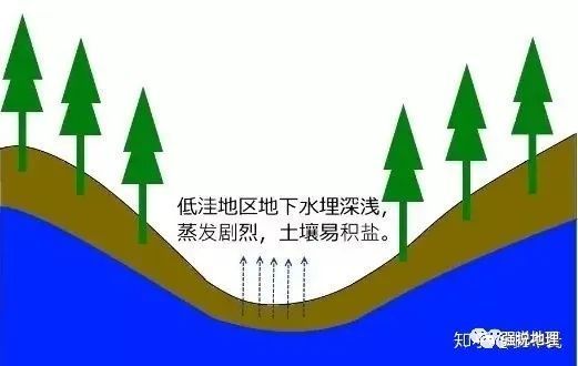 图文了解土地盐碱化与次生盐渍化的区别及其改良治理