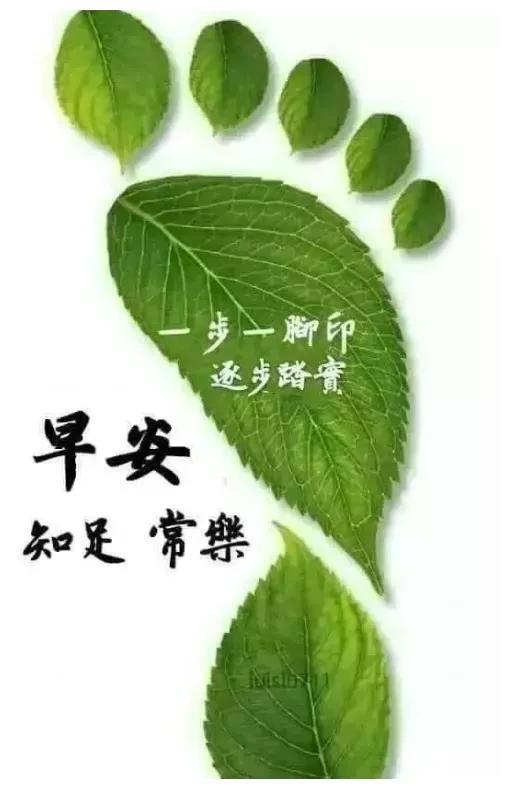 分享图片早上好一声问候满满祝福