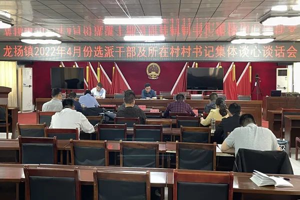 安徽先锋网点赞龙扬镇选派干部工作经验做法