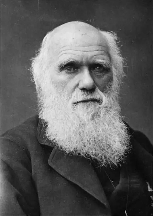 robert darwin,1809年2月12日—1882年4月19日),英国生物学家,进化论