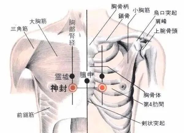 神封穴气喘胸胁支满呕吐不嗜食