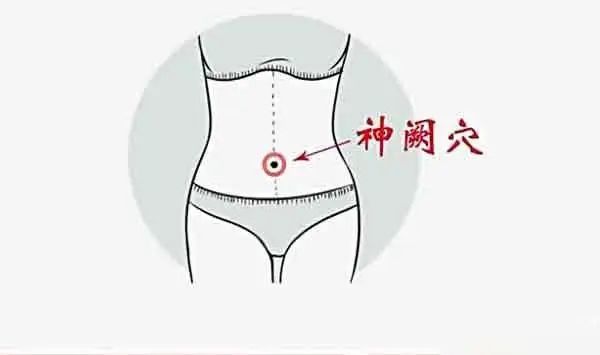 神阙穴|人体|穴位|中风