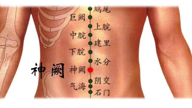 神阙穴:人体名副其实的"大补药"穴!
