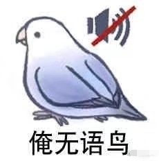 小鸟表情包