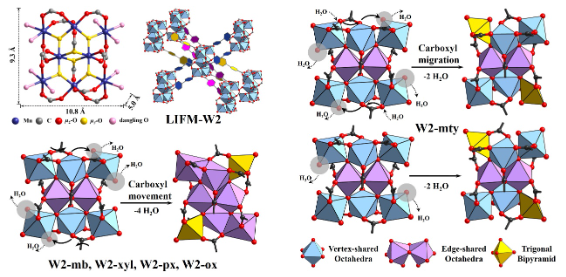 中山大学基于高核mn8金属簇动态行为的新型柔性mofs