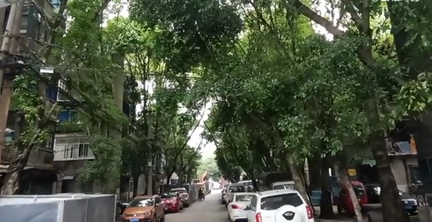 沙坪坝即将拆迁的小区红砖青瓦好有记忆面临搬迁快乐是否继续