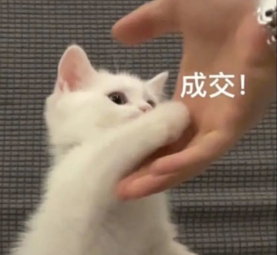 萌宠时间猫猫狗狗表情包