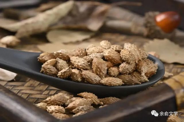 用于风寒感冒,鼻渊,风湿痹痛,风疹瘙痒等证苍耳子,中药名.