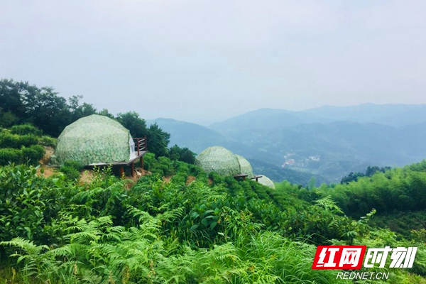 黑麋峰的星空帐篷坐落在此起彼伏的茶园之中,帐篷虽小五脏俱全