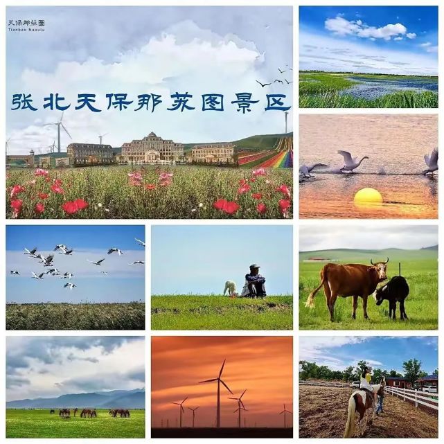 国臻文旅冬奥之城张北天保那苏图草原旅游度假区