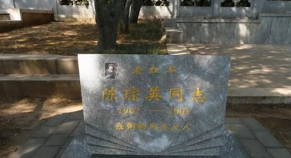 北京八宝山公墓谁的墓祭扫最多81号墓安葬着谁无名墓碑是谁