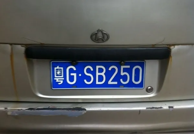 因为这个车牌号前面的两位字母是"sb",想必很多人都知道"sb"这两个字