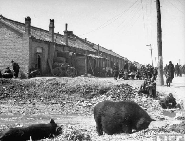 老照片|1946年东北的南满洲老照片(图组)