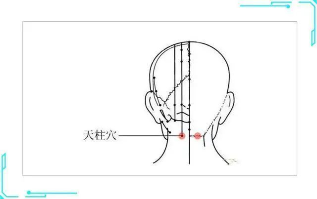 天柱穴常按助性养生缓解头痛