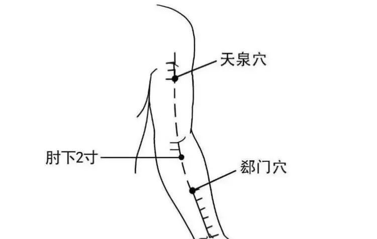 心脏健康添活力天泉穴