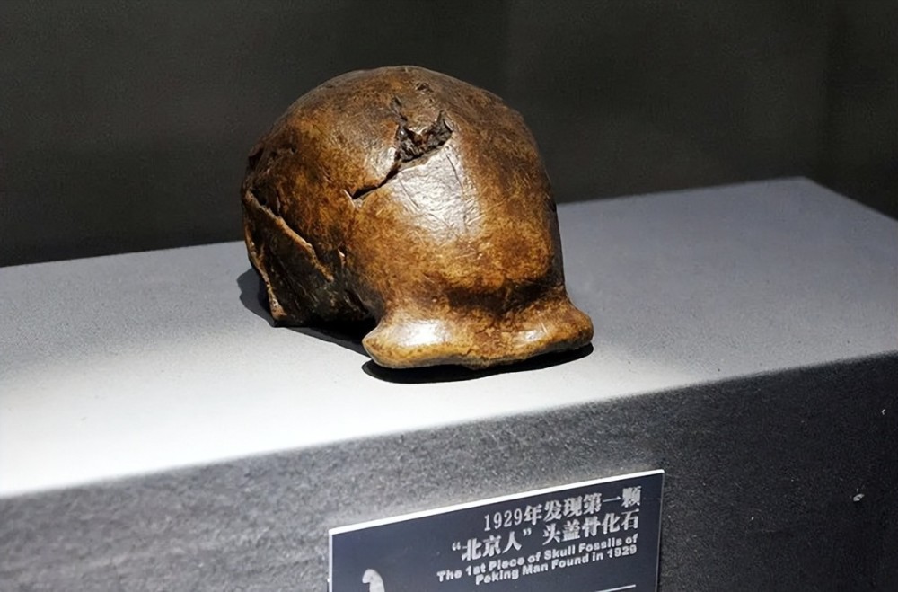 多年之后,关于这批珍贵的头盖骨化石的下落,也曾经出现过种种不同的