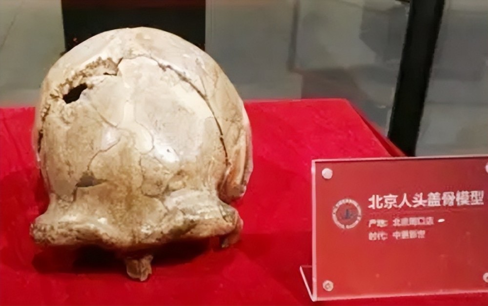 北京人头盖骨也就是说十二尊中已经有八尊铜首实现了回归,然而其余四