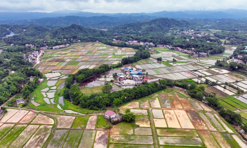 2022年5月13日,江西省宜春市万载县株潭镇车陂村,600多亩高标准农田与