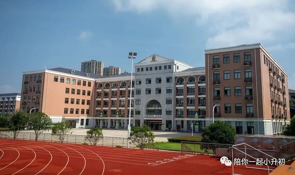 你知道崇文外国语学校吗(崇文外国语学校武汉什么性质)