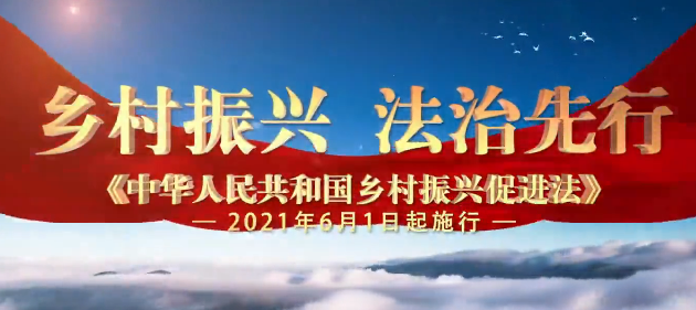 中华人民共和国乡村振兴促进法宣传片