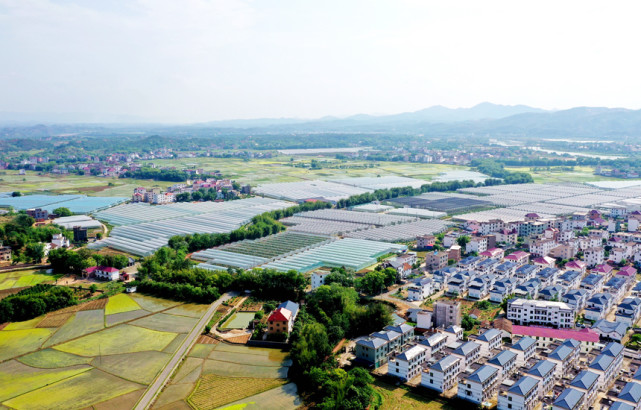 马龙胜摄人民网南昌5月17日电 在江西省赣州市兴国县埠头乡垓上村,一