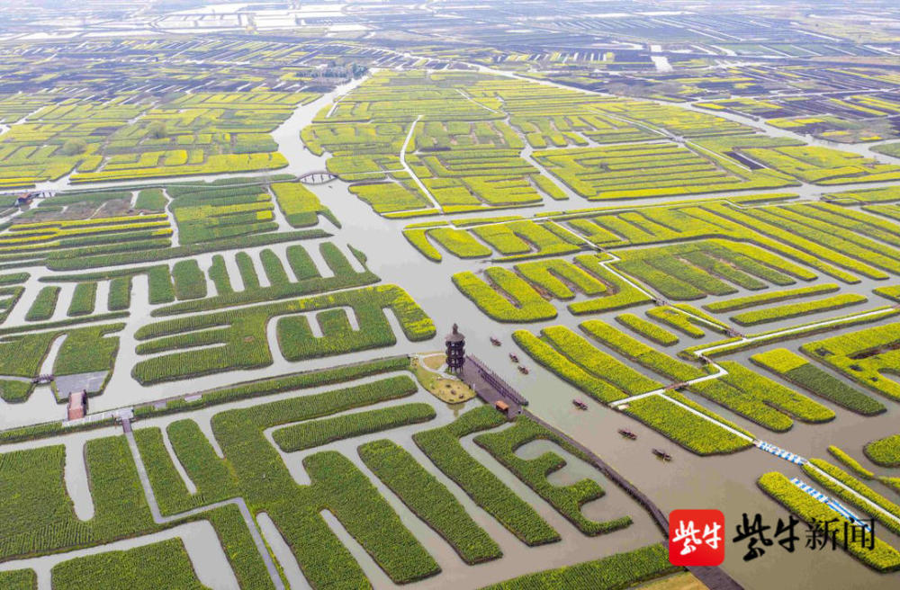 兴化千垛菜花景区人民日报社属中国城市报社,中国城市品牌研究院在