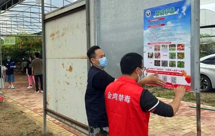 巩固禁毒成效南水镇开展禁种铲毒大踏查专项行动