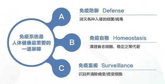 免疫功能低下圖片_白細(xì)胞免疫低 不孕_腎移植后免疫低怎么辦
